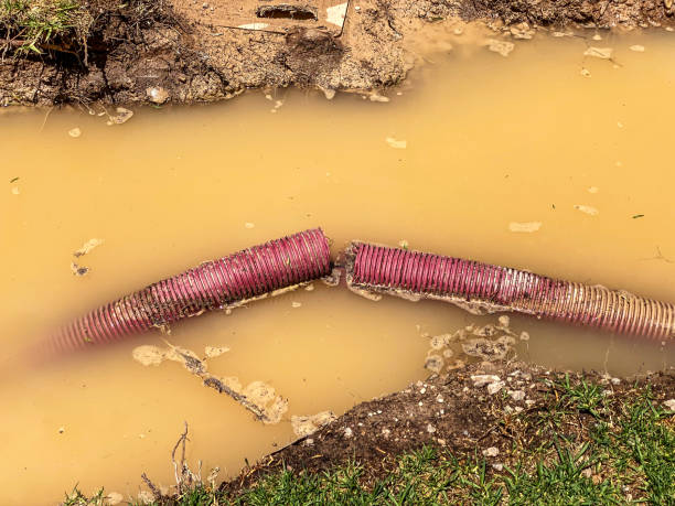 Best Crawl Space Water Damage Solutions in Smithfield, UT